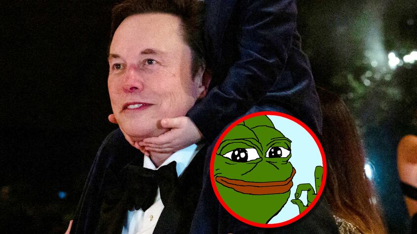 Elon Musk y Pepe the Frog