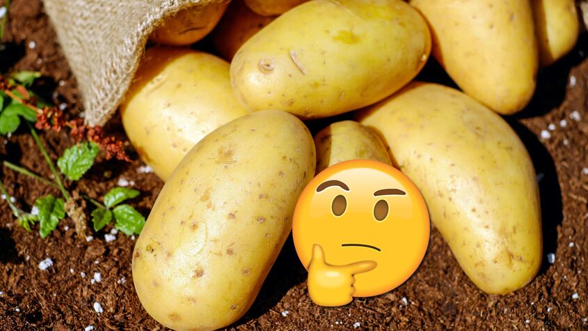 Así es como puedes añadir patatas a tu dieta diaria sin subir de peso