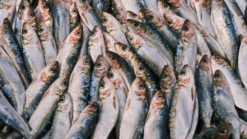 Anchoas