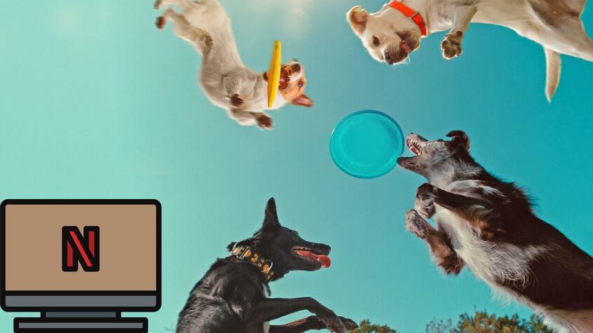 En la mente de un perro.