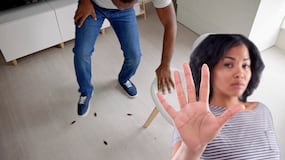 ¡No lo hagas! Expertos explican porque no es bueno pisar cucarachas