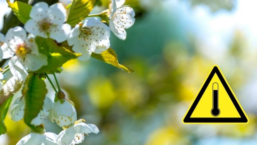 Tiempo en Córdoba: previsión meteorológica hoy 8 de septiembre