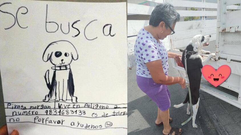 Una niña dibujó a su perro perdido y, gracias a ese cartel, lo encontraron