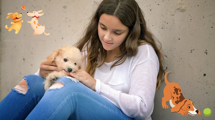El significado de que mi perro muerda suavemente mi mano