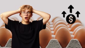 ¿Por qué se dispara el precio del huevo en España?
