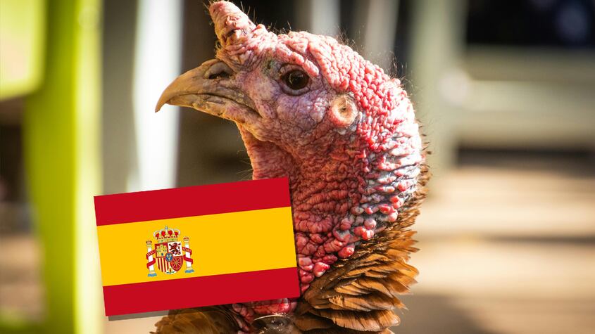 Día de Acción de Gracias en España