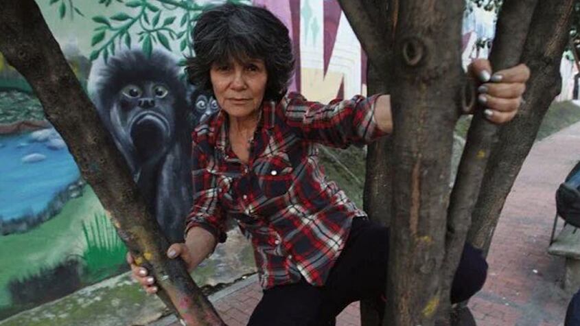 Impactante historia: la biografía de una mujer que fue secuestrada y se crió entre los monos