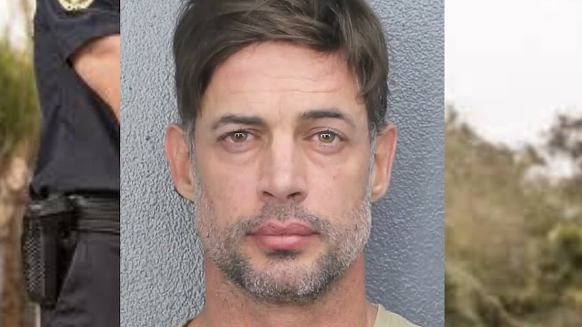 William Levy arrestado en Florida: estas son las 3 producciones españolas de las que participo el galán