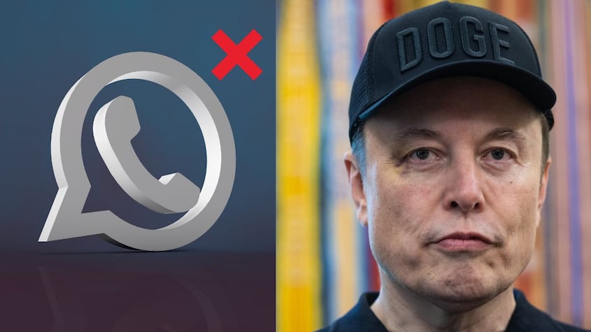 Elon Musk WhatsApp