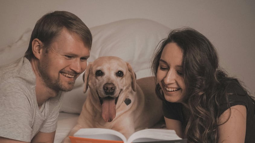 Estas son las 5 razas de perros que viven más tiempo, según expertos