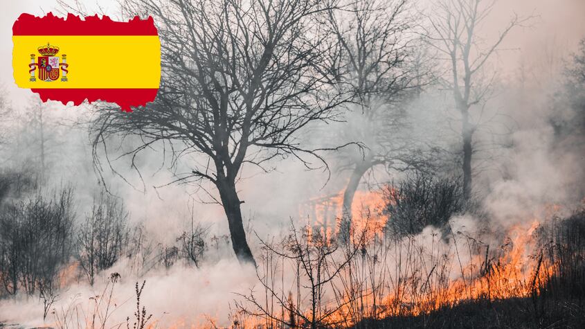Las razones por las que hay tantos incendios forestales en España