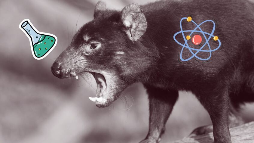 Animales resucitados.