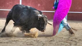 Tauromaquia: Los países que han prohibido las corridas de toros