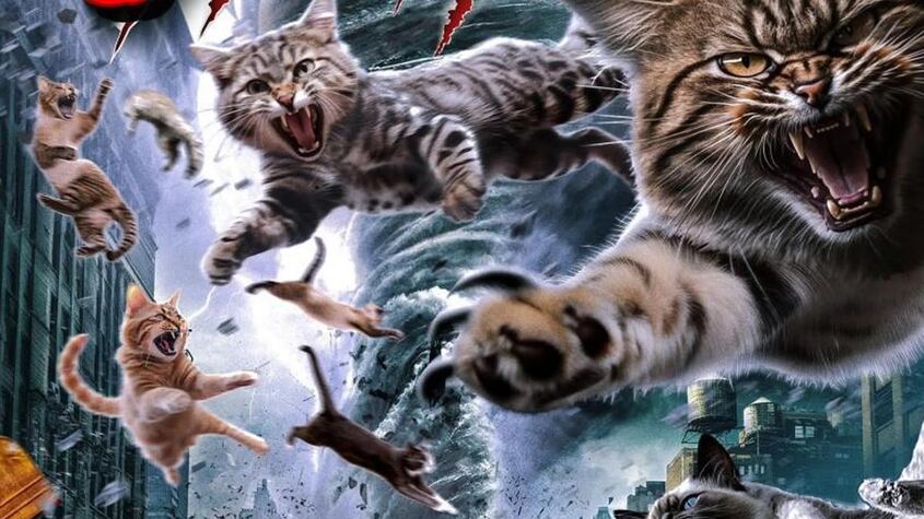 Catnado.