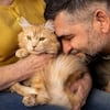 Cómo hacen los gatos para identificar a sus dueños