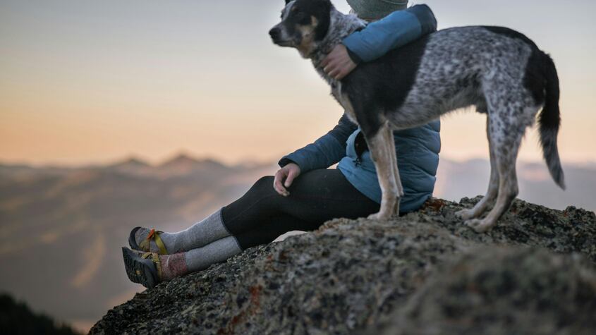 La explicación científica de por qué nuestro perro nos sigue a todos lados