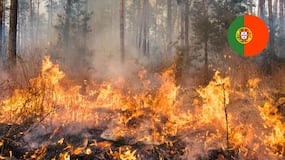 Fue detenido uno de los responsables de los incendios en Portugal
