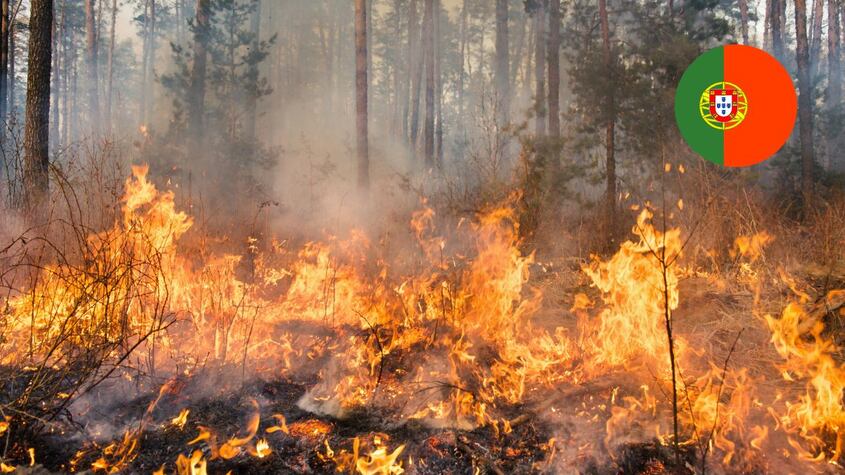 Incendio Portugal