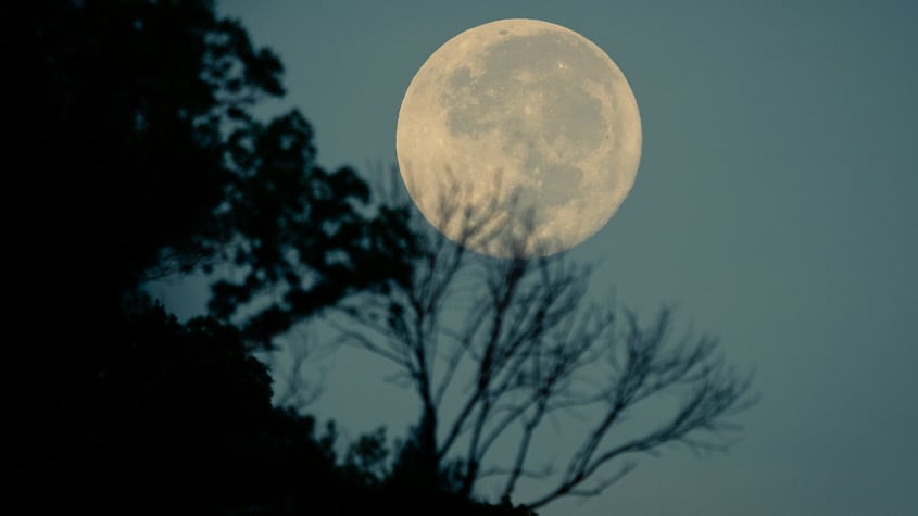 rituales luna llena