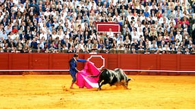 Entusiasta de la tauromaquia, promueve su difusión entre jóvenes mexicanos