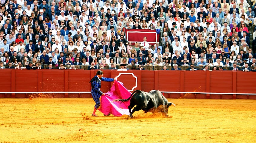 Entusiasta de la tauromaquia, promueve su difusión entre jóvenes mexicanos
