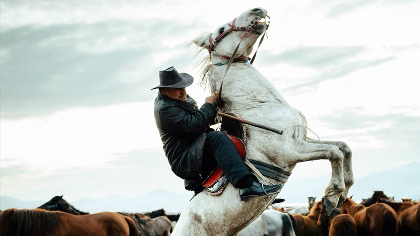 Hombre se traslada a caballo en Elche y causa furor en redes sociales