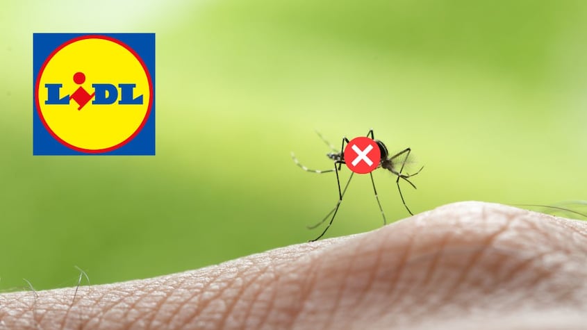 Anti mosquitos Lidl
