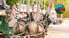 Un hombre y su bebé, graves tras ser arrollados por un caballo en Sevilla
