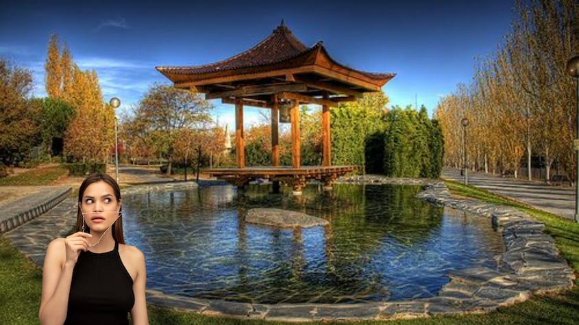 Parque de la Vega de Alcobendas en Madrid: ¿Qué ver y cómo llegar a este mágico jardín japonés?