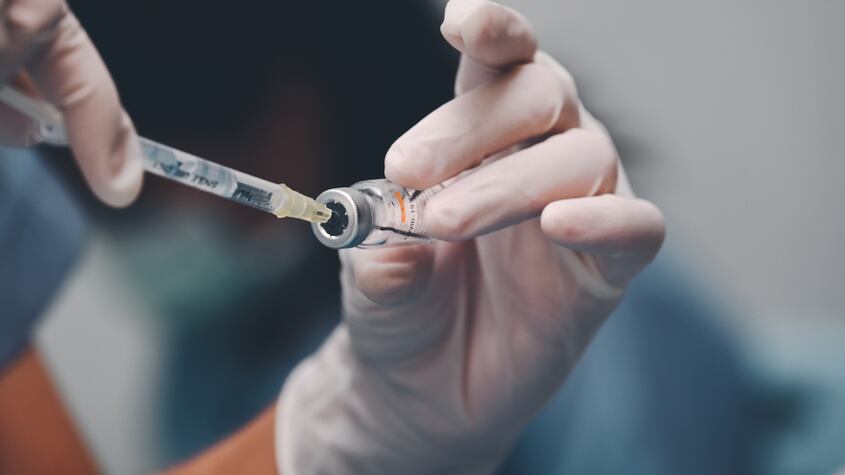 China encuentra un nuevo virus dentro de un murciélago ¿Se avecina otro coronavirus?
