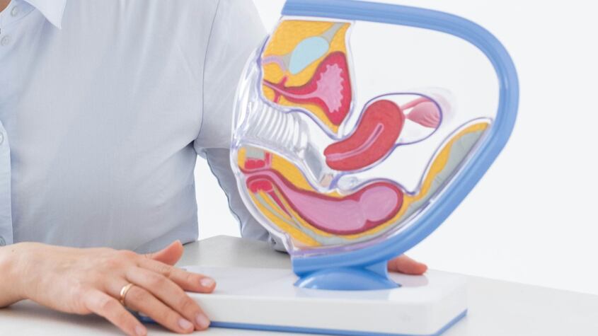 ¿Cómo es el diagnóstico y tratamiento del hiperandrogenismo?