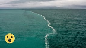 Increíble: ¿Por qué los océanos Pacífico y Atlántico no se mezclan?