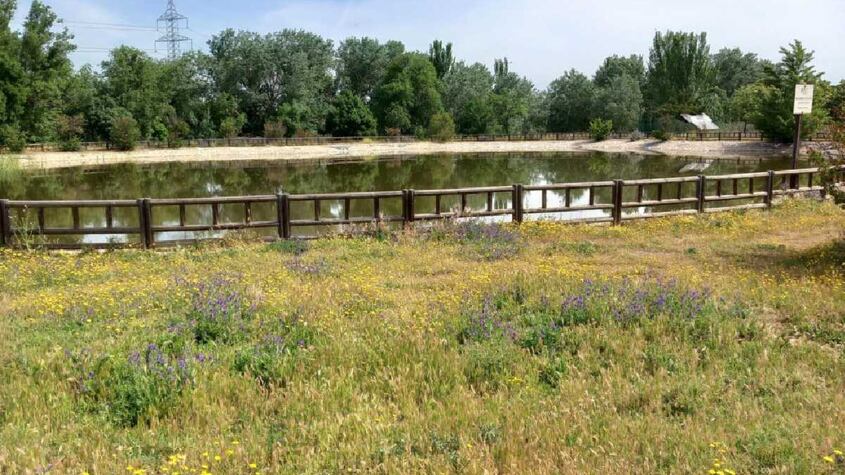 Parque de Pozuelo de Alarcón.