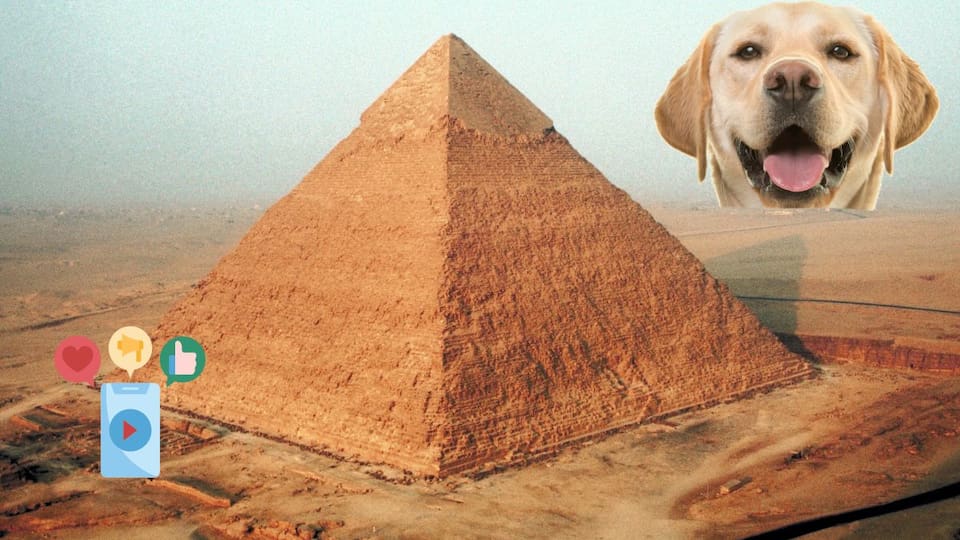 El perro que conquistó la cima de la pirámide de Giza desciende como si nada El perro que conquistó la cima de la pirámide de Giza desciende como si nada