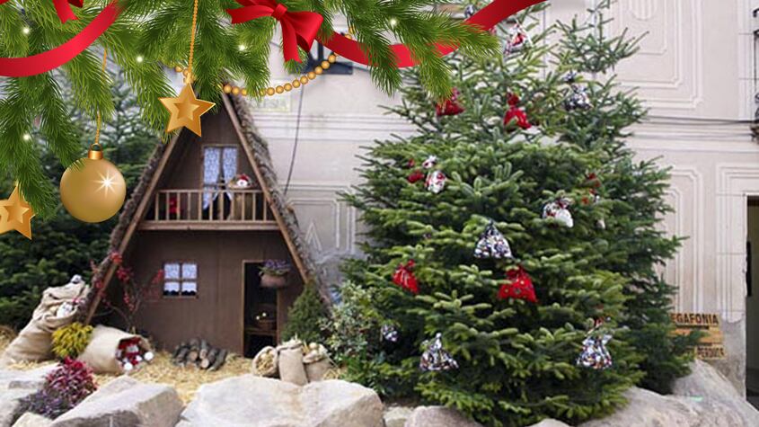 Fira de l'Avet (Feria del Abeto de Espinelves)