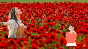 El significado de tener una planta de amapola