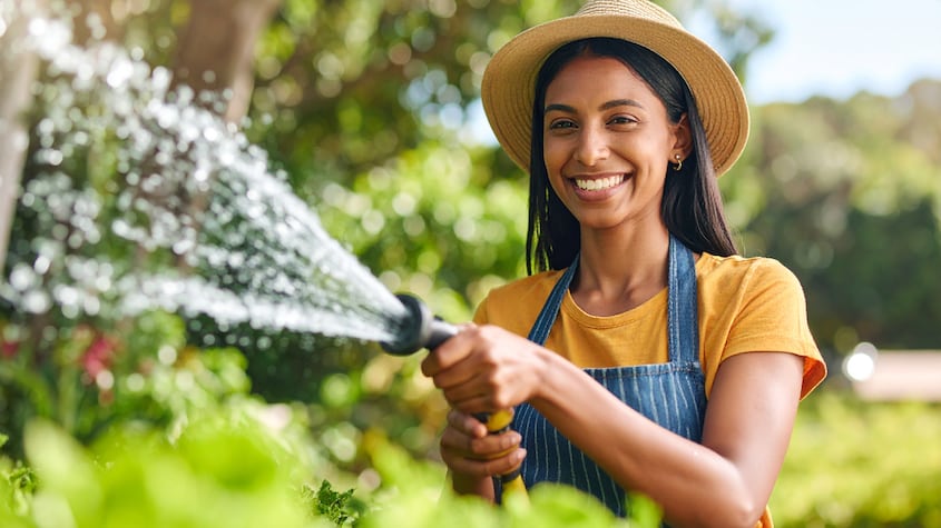 Los 3 secretos que callan los jardineros para un césped verde los 365 días del año