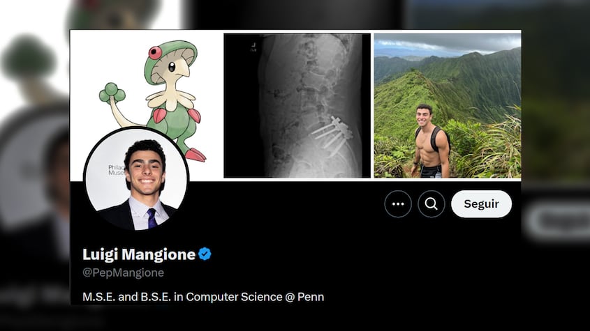 Perfil de Luigi Mangione en X
