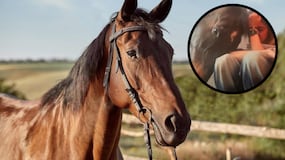 El video de un caballo consolando a una joven que no es apto para personas sensibles