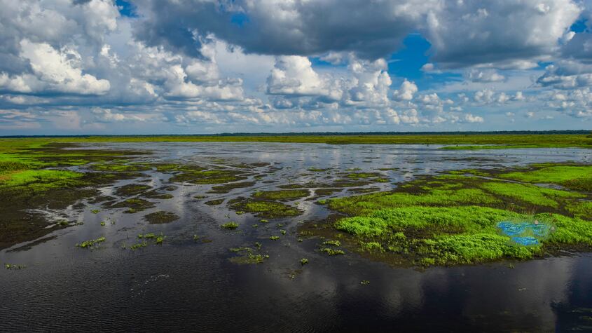 2 de febrero, Día Mundial de los Humedales, claves para el medio ambiente