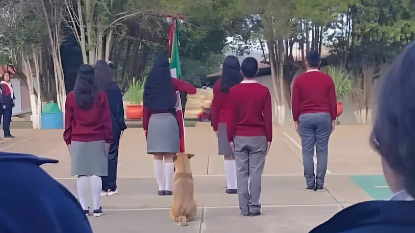 Perrito.