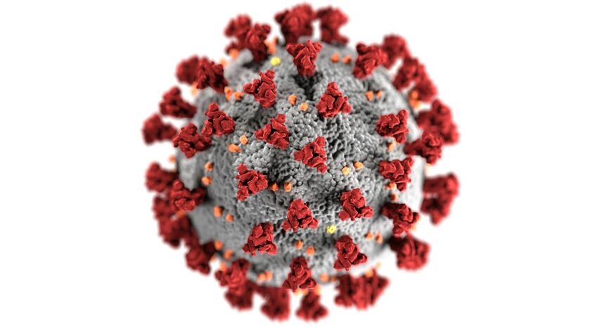 Virus B de Hong Kong: Qué es, cómo se contagia y síntomas
