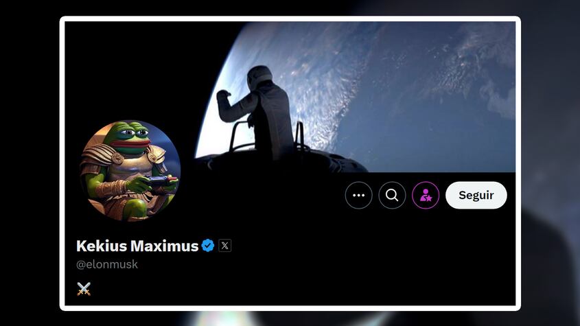 Perfil de Elon Musk en X el 1 de enero de 2025