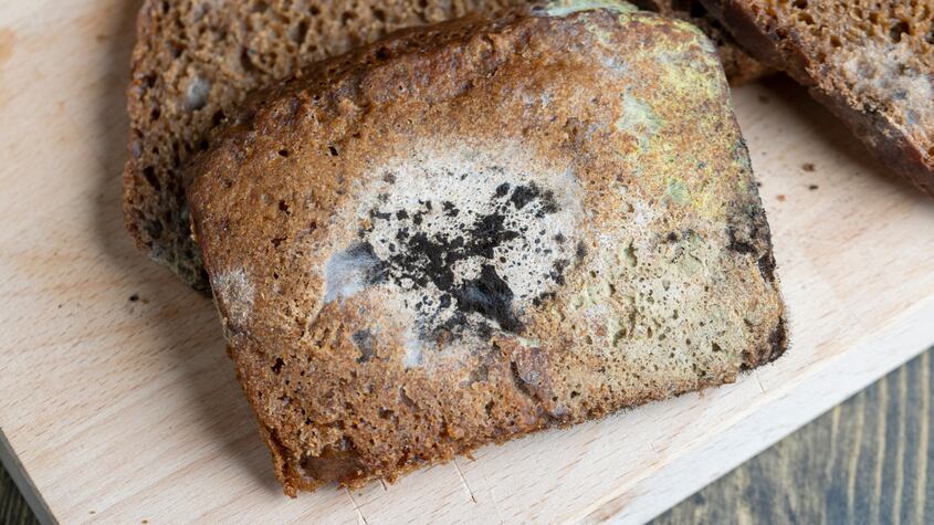 ¿Qué tan grave es consumir pan con moho? Esto dicen los expertos