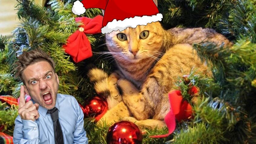 Gato en el árbol de Navidad