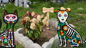 1 de noviembre “Dia de todos santos”: la nueva tradición que se impone en España