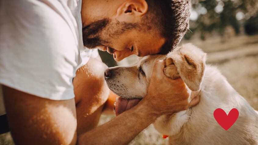 Científicos afirman que los perros están comenzado una etapa de evolución