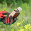 Expertos en jardinería recomiendan este truco, di adiós a los insectos de tu jardín