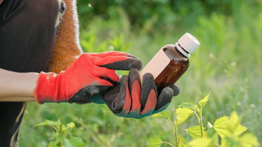 Truco jardinería natural