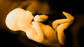 EE.UU.: frenan la desconexión de una mujer con muerte cerebral para salvar a su bebé